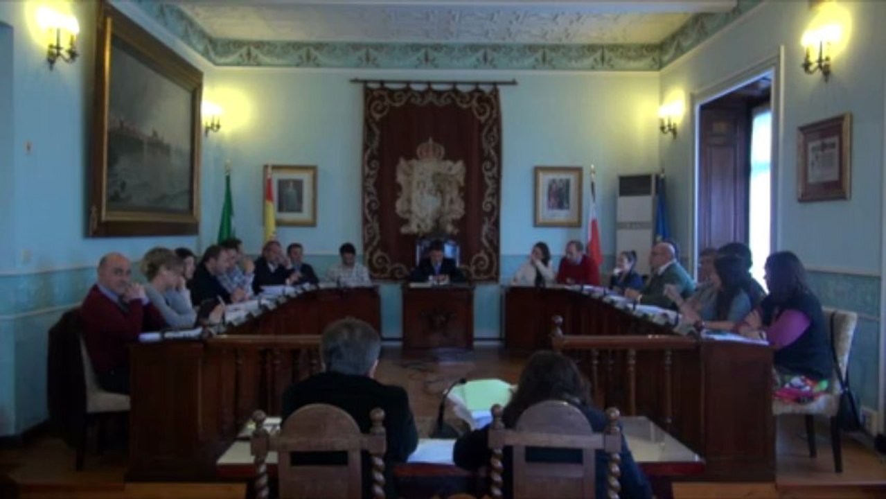 Pleno ordinario 21 de mayo de 2013 3