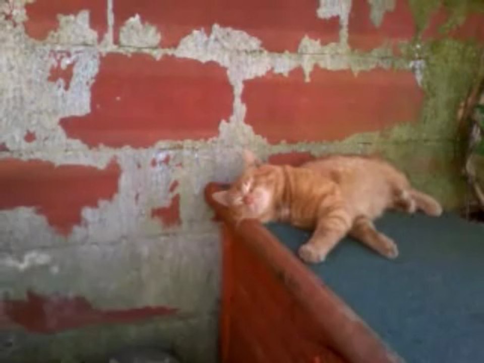 Chut ! Declan dort
