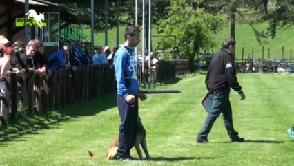 Djino du Banc des Hermelles - FMBB 2012 C 91p