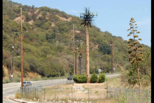 Protection Electromagnetic Fields, Computer Radiation