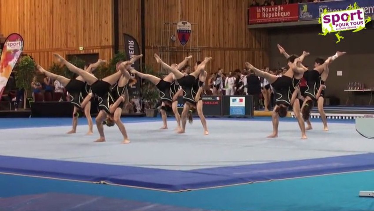 FestiGym