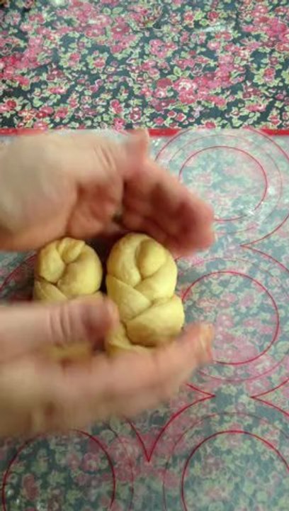 Brioche tresse à une branche