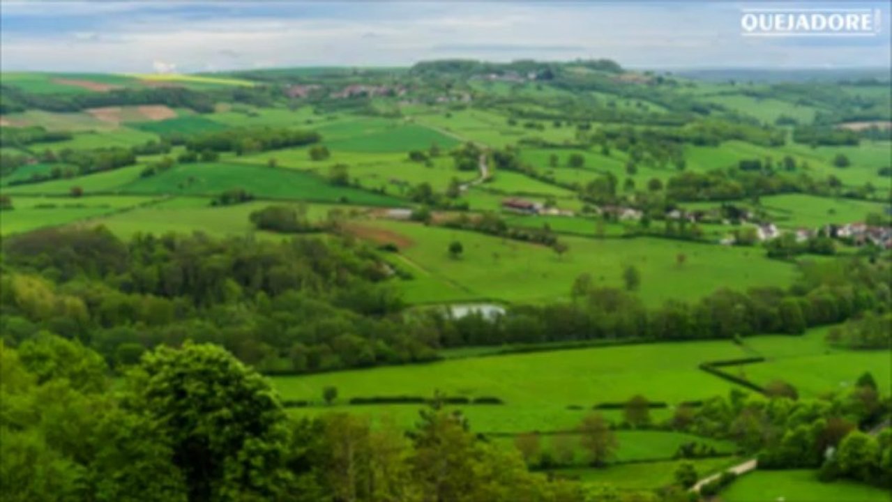 Cours d'oenologie : le Bourgogne - Quejadore.com