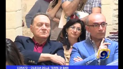 Corato | Ciliegia delle Terre di Bari