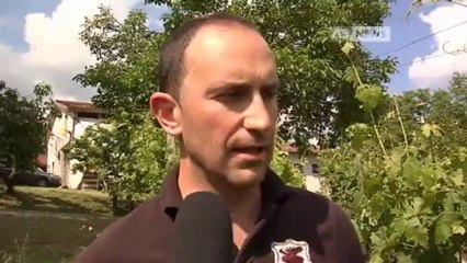 GRANDINATA IMPROVVISA, VITI A RISCHIO