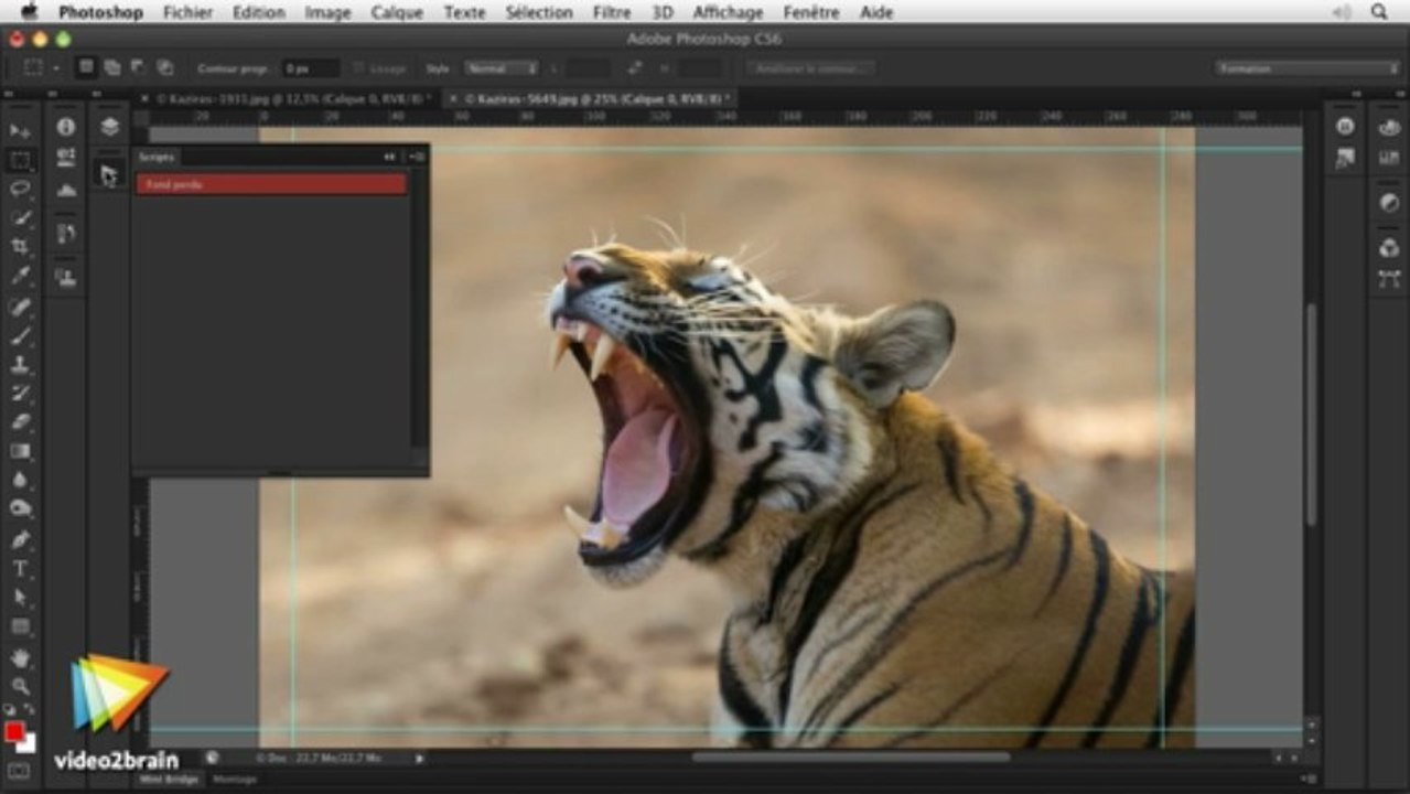 Photoshop CS6 : Gestion des fonds perdus