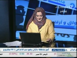 د.أشرف العيّادي ضيف القناة الإقتصاديّة السّعوديّة ـ 22 ماي 2013 ـ