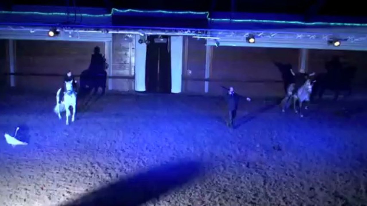 Les Trophées 2013 - Théâtre Equestre de Wattrelos