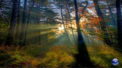 How insensitive (Insensataez) - Percy Faith