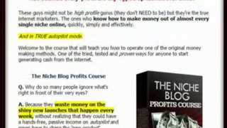 Niche Blogging Profits - What Gurus Do Not Share About Making $ Online | Niche Blogging Profits - What Gurus Do Not Share About Making $ Online