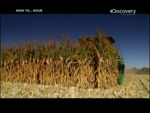 Nasil Uretilmis Misir