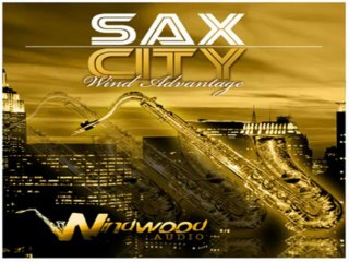 Winwood Audio Sax City WAV