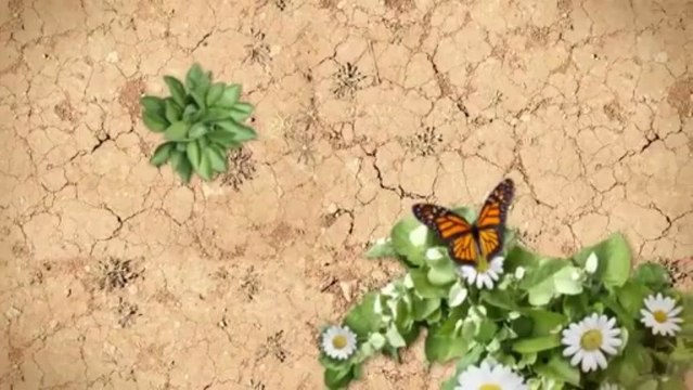 Vizag Bheemili Beach View 857 yards Plot for sale, suitable for apartments