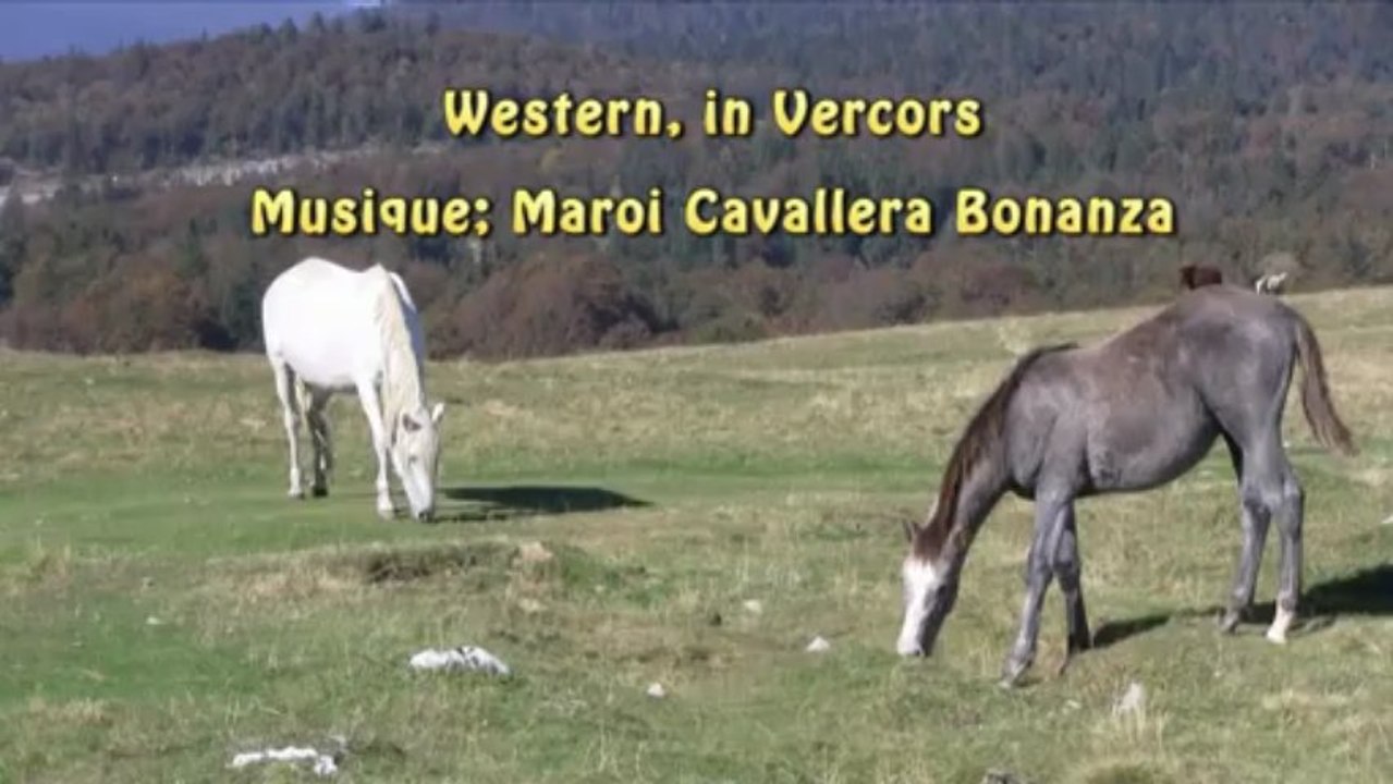 chevaux_vercors_2011