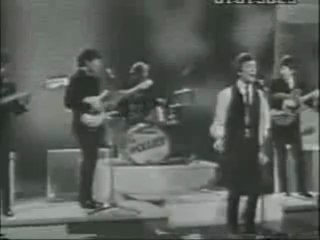 ザ・ホリーズ Too Much Monkey Business