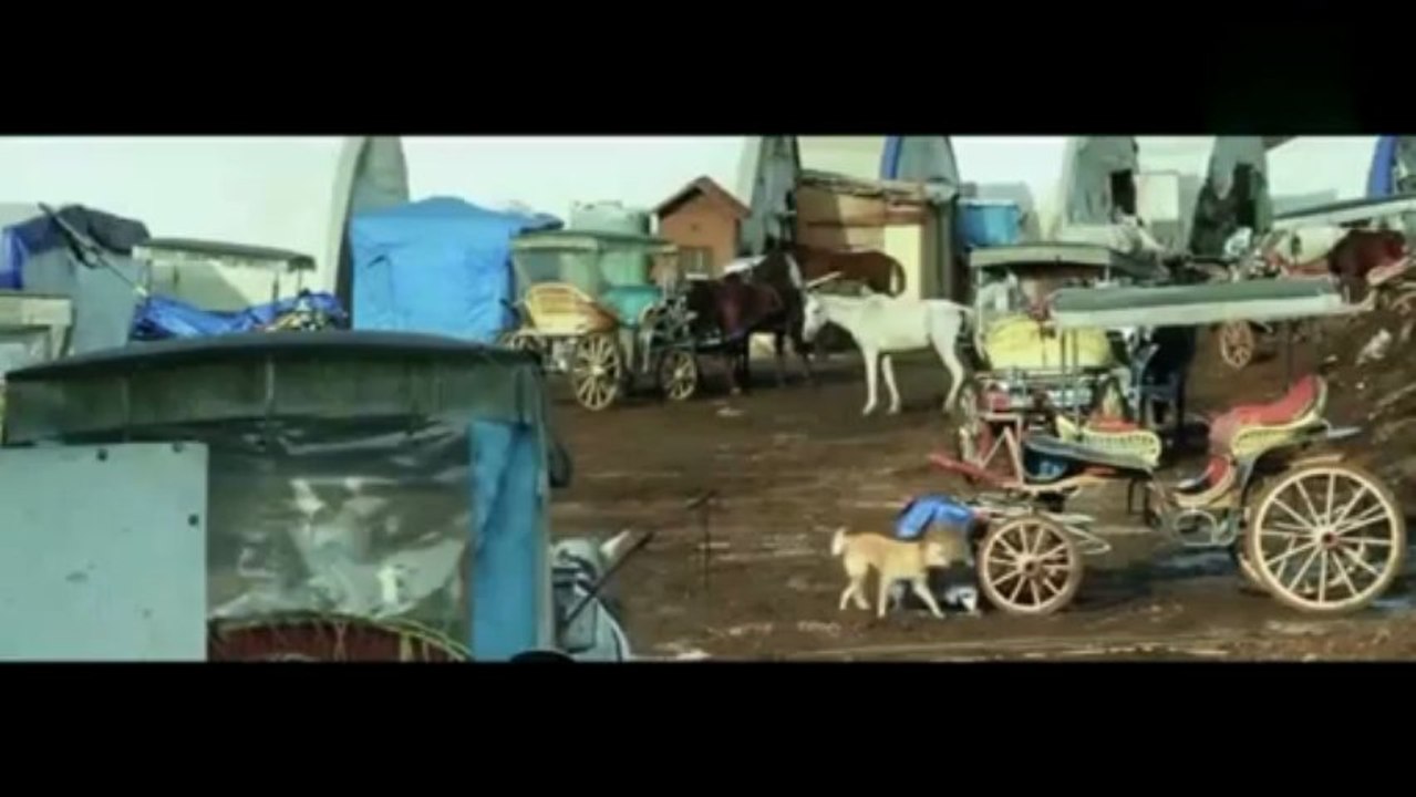 Şivan Perwer - Dur Dur - (2013)