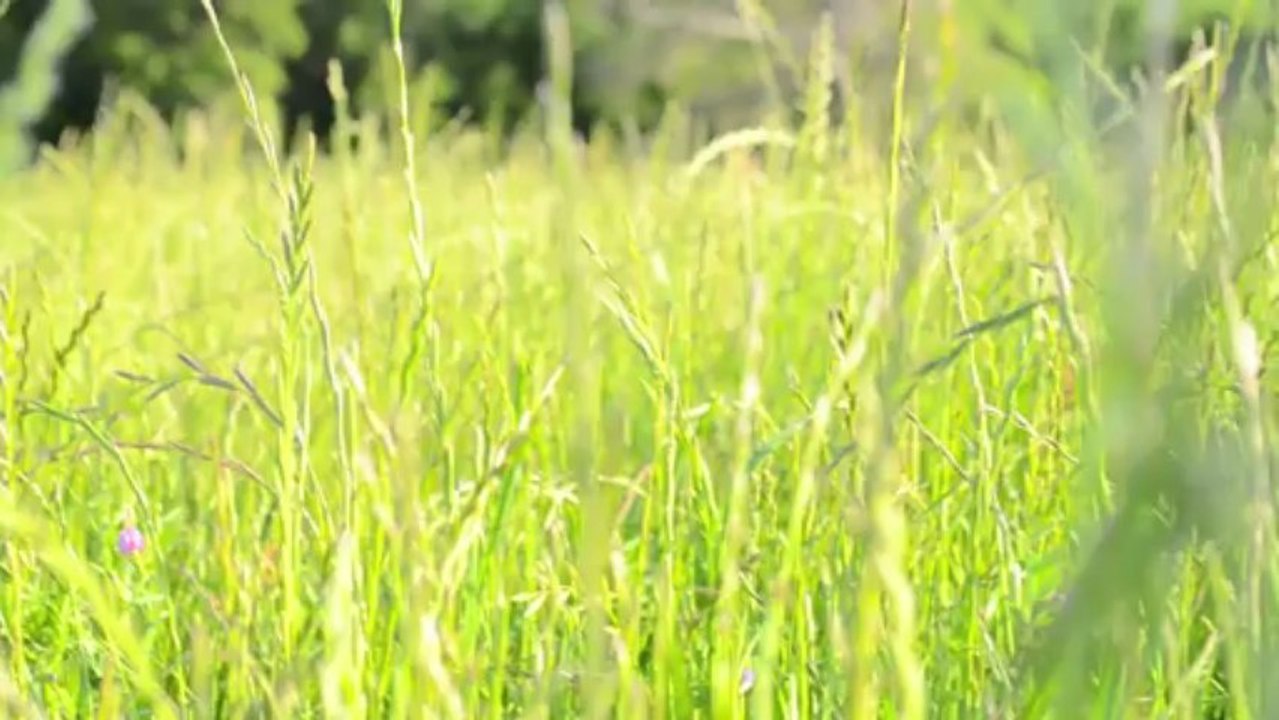 Marketing Coach - The KEY to Attracting MORE People