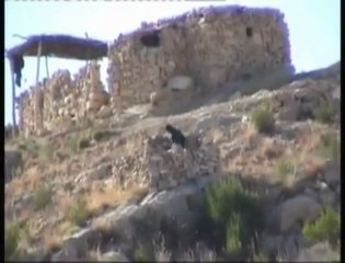 Baloch Freedom Fighters 4