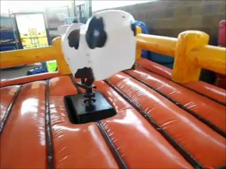 INSTALACION DE TORO MECANICO