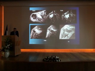 MSK Imaging cases - Pr Nogah HAMARATI