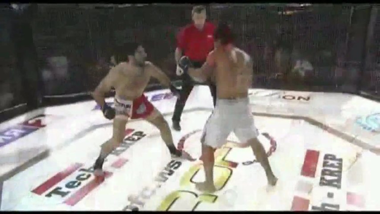 Armenian MMA team