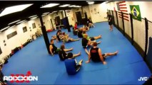 Chicago MMA Gyms-MMA training classes