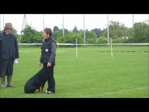 2013.05.19 - CONCOURS OBEISSANCE - CLASSE II - SHANNA