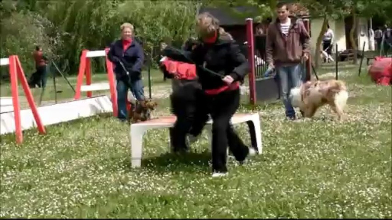 Cours du 18 mai 2013 Julie & Hagrid