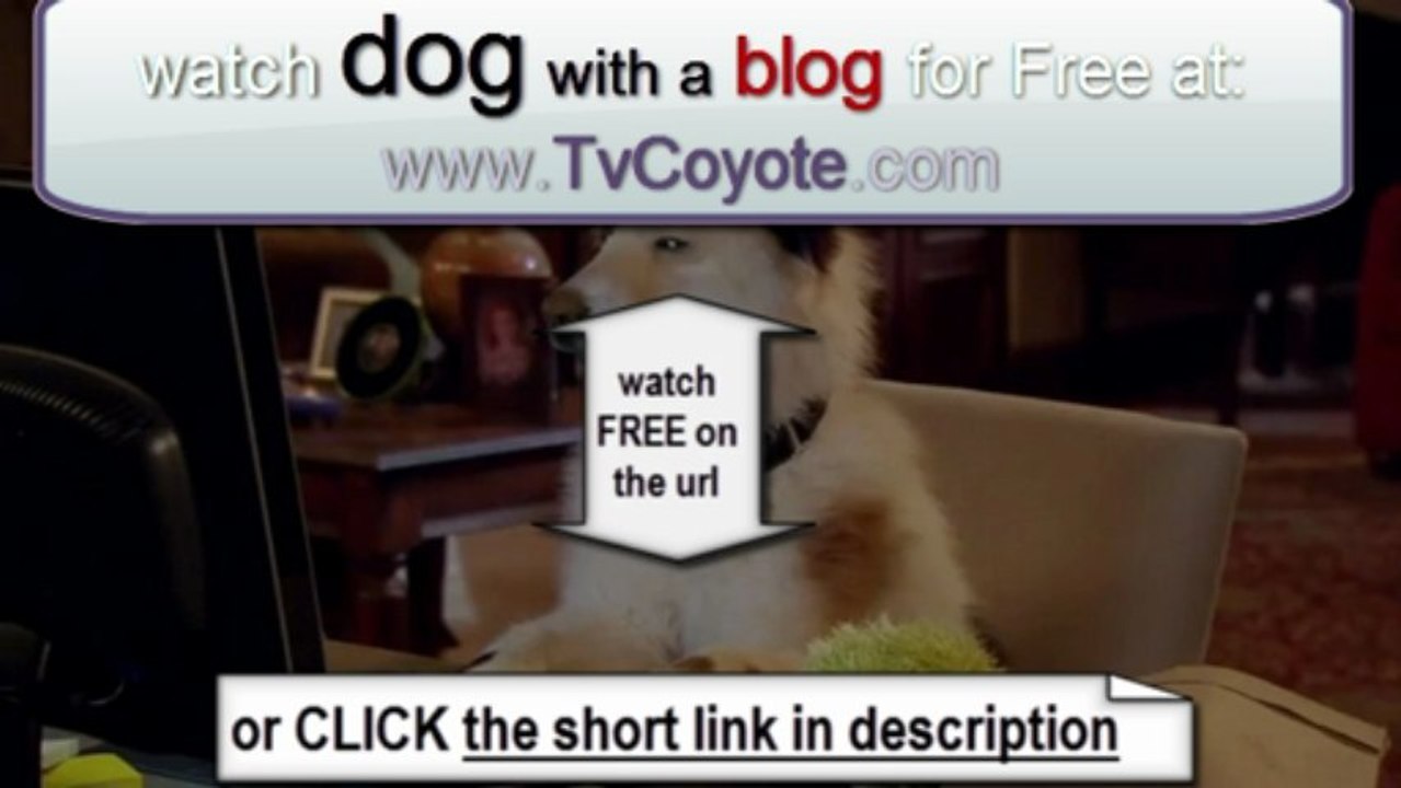 Dog With a Blog Season 1 Episode 15 - Avery's First Crush - HD - Full Episode -