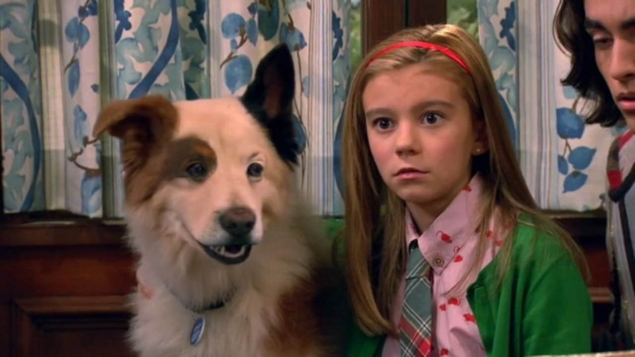 Dog With a Blog Season 1 Episode 14 -  Crimes of the Art