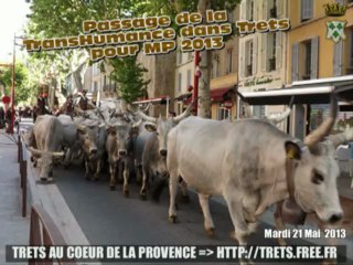 Passage de la Transhumance de MP2013 à Trets 21mai2013