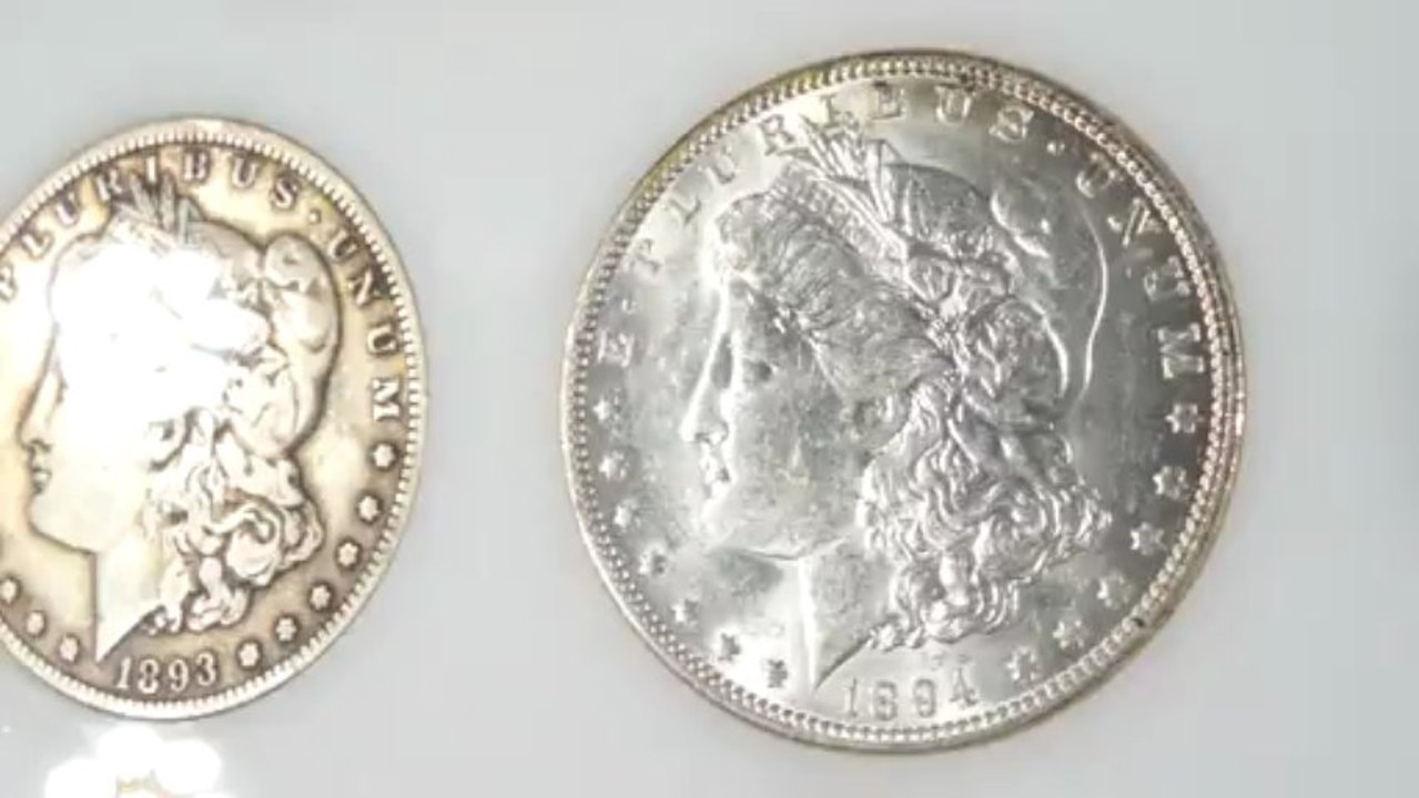 Morgans