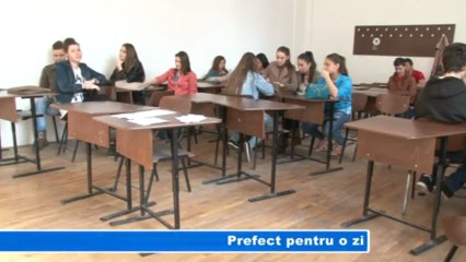 Prefect pt o zi