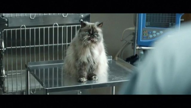 Pub Specsavers (Vétérinaire)