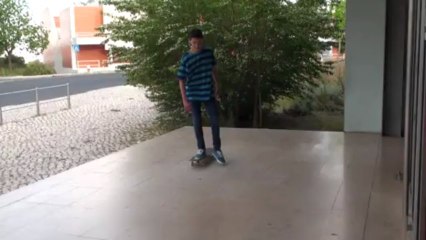 Kickflips and pop shove-its