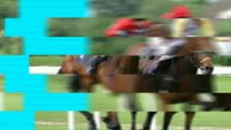 Horse Racing Tips - It's More Than Just Luck | 1300 500 057