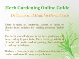 Herb Gardening | Discover the Secrets to Growing a Fantastic Herb Garden