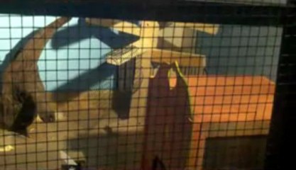 03-04-12 arrivée de kinai a la maison