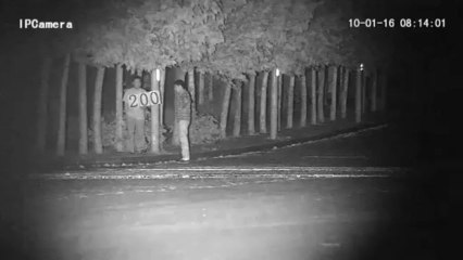 BRC1218 HD T-shape laser camera 200m test