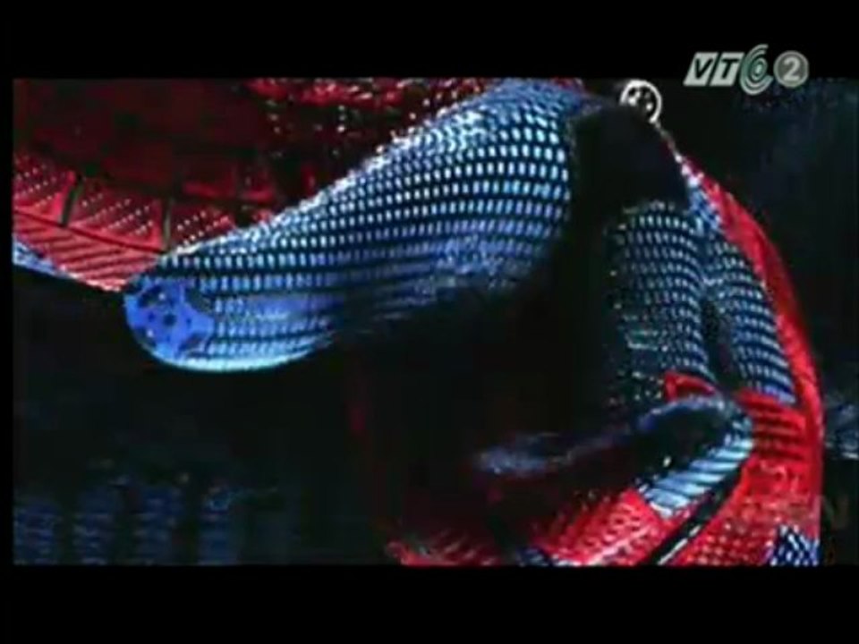 Hậu trương phim người nhện