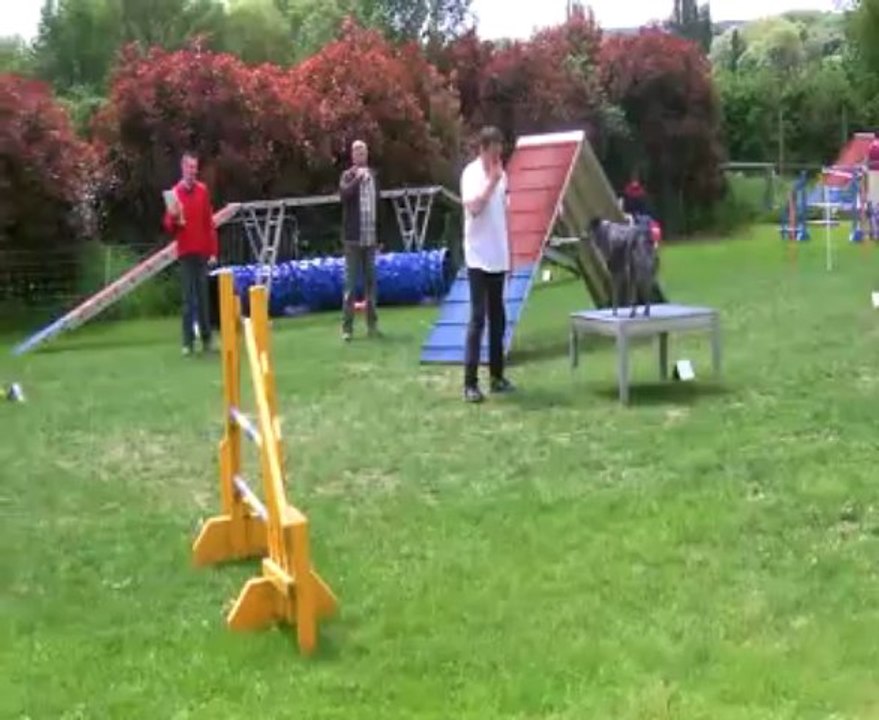 Concours de Saint Vrain 2013   Philippe+ELLA / GPF