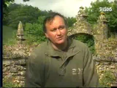 Le chien de saint hubert et La Chasse du grand gibier ( origine de l'elevage du hameau jouas)