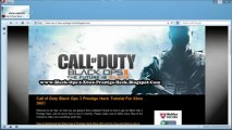 Call of Duty Black Ops 2 Prestige Hack (BO2 Prestige Hack)
