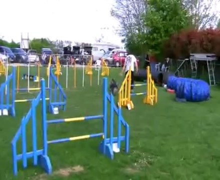 Concours de Saint Vrain 2013 Philippe+ELLA JUMPING+