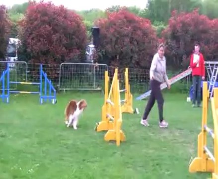 Concours de Saint Vrain 2013 ,Bénédicte GPF ,