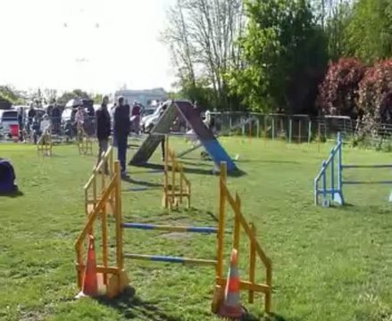 Concours de Saint Vrain 2013 / cassis/ Open