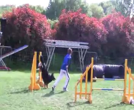 Concours de Saint Vrain 2013 EVAN+ Estrella JUMPING