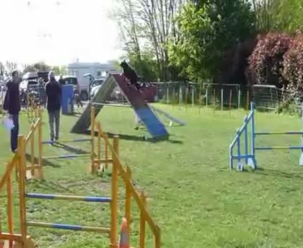 Concours de Saint Vrain 2013 Evan+Estrella Open