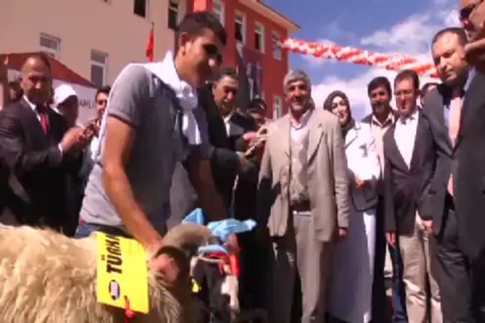 40 kitap okudu İnek kazandı