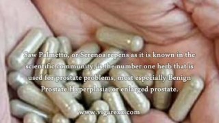 Herbal Remedy For Prostate Gland - What Is The Best Herbal Remedy For Prostate Gland?